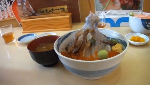 Dancing Squid at AutoCurate.com