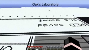 MineCraft Pokemon at AutoCurate.com