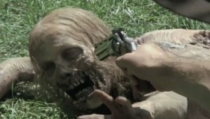 Every Zombie Kill in Walking Dead at AutoCurate.com