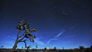 Fleeting Light: Geminid Meteor Shower at AutoCurate.com