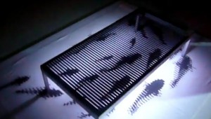 Magic Carp-pet by John Leung at AutoCurate.com