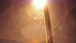 Flight Patterns by Charlie McCarthy at AutoCurate.com