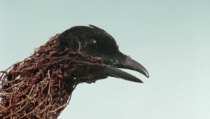 Seed by Ben Richardson & Daniel Bird on AutoCurate.com