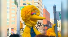 Big Bird Responds to Mitt Romney at AutoCurate.com