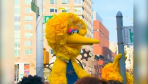 Big Bird Responds to Mitt Romney at AutoCurate.com