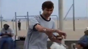 Seagulls on Laxatives at AutoCurate.com